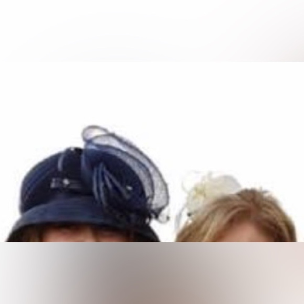 fancy hat/fascinator wedding/formal season
